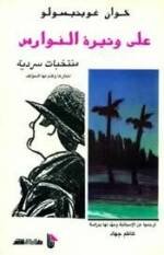 على وتيرة النوارس