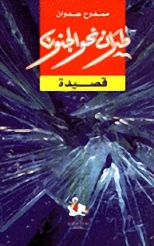 طيران نحو الجنون قصيدة