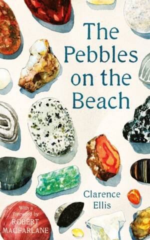 The Pebbles on the Beach