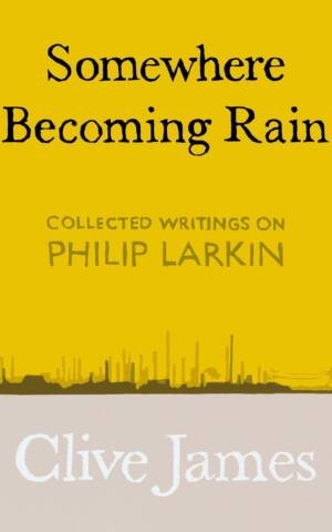 Somewhere Becoming Rain
