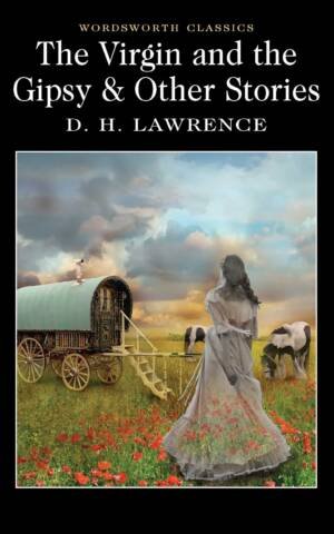 The Virgin and The Gipsy & Other Stories Nr