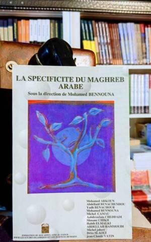 La spécificité du Maghreb arabe
