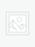 عنصر نائب Placeholder